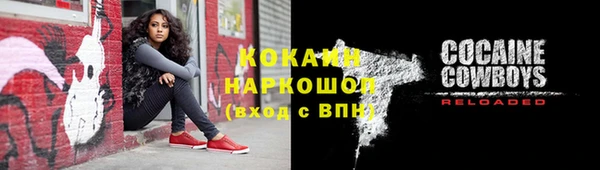 сатива Володарск