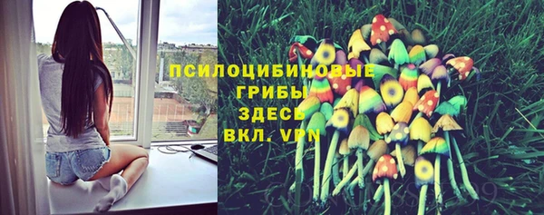 сатива Володарск